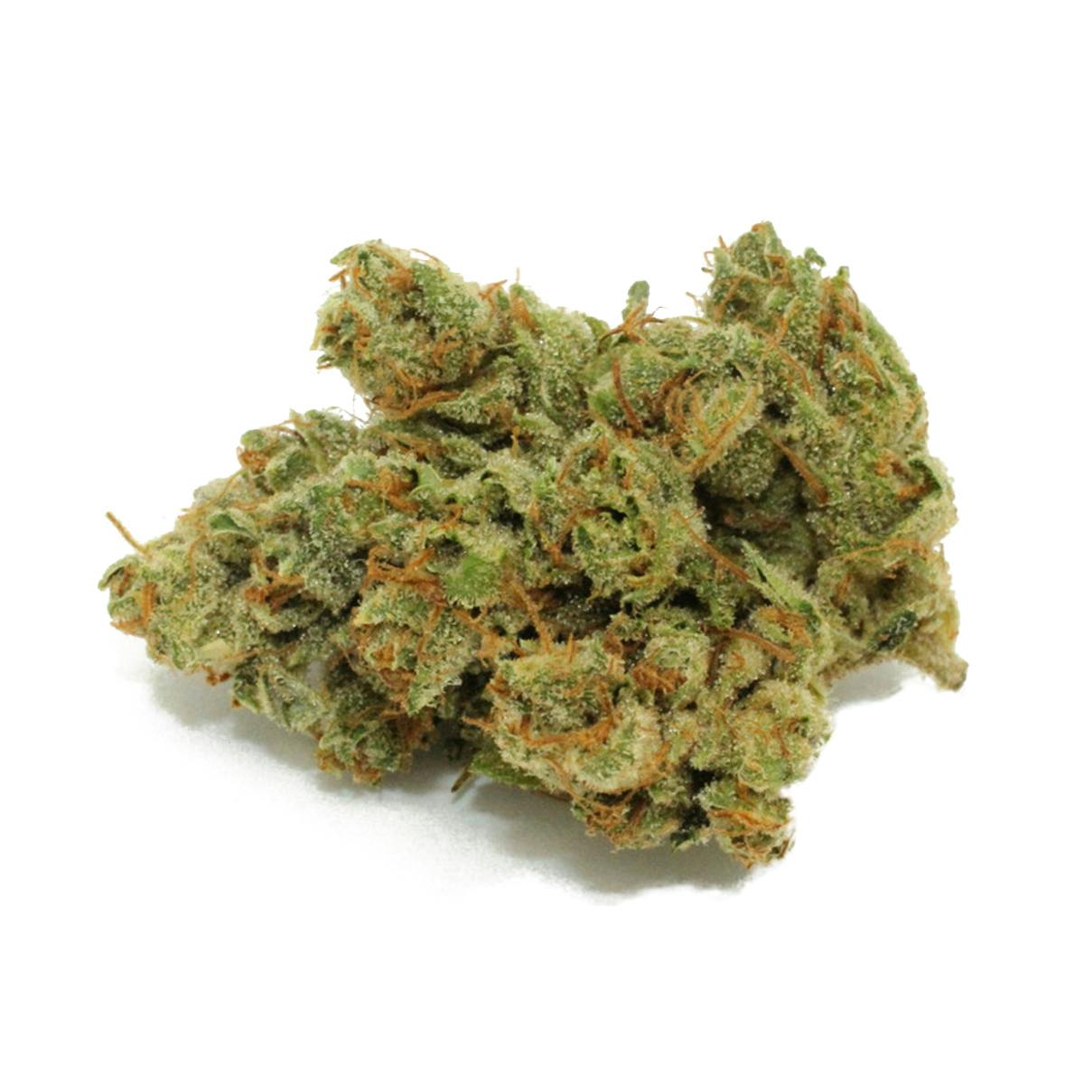 Medusa's Garden - Sour OG - 1