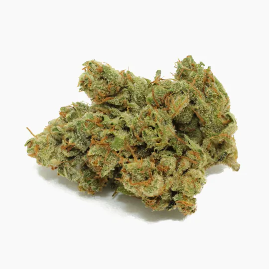 Medusa's Garden - Sour OG - 1