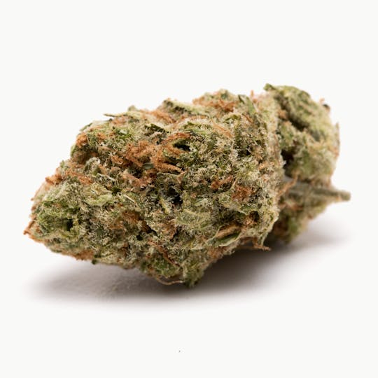 Space Monkey Meds - Super Lemon Haze - 1