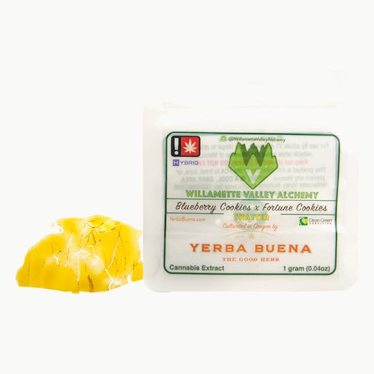 Willamette Valley Alchemy LLC - Blueberry Cookies x Fortune Cookies Shatter - 1