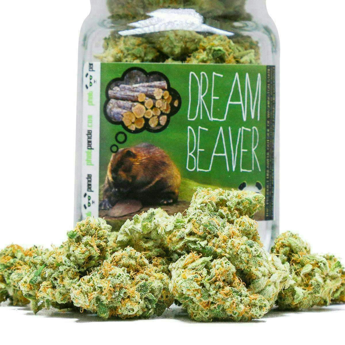 Phat Panda - Dream Beaver | Big Buds - 1