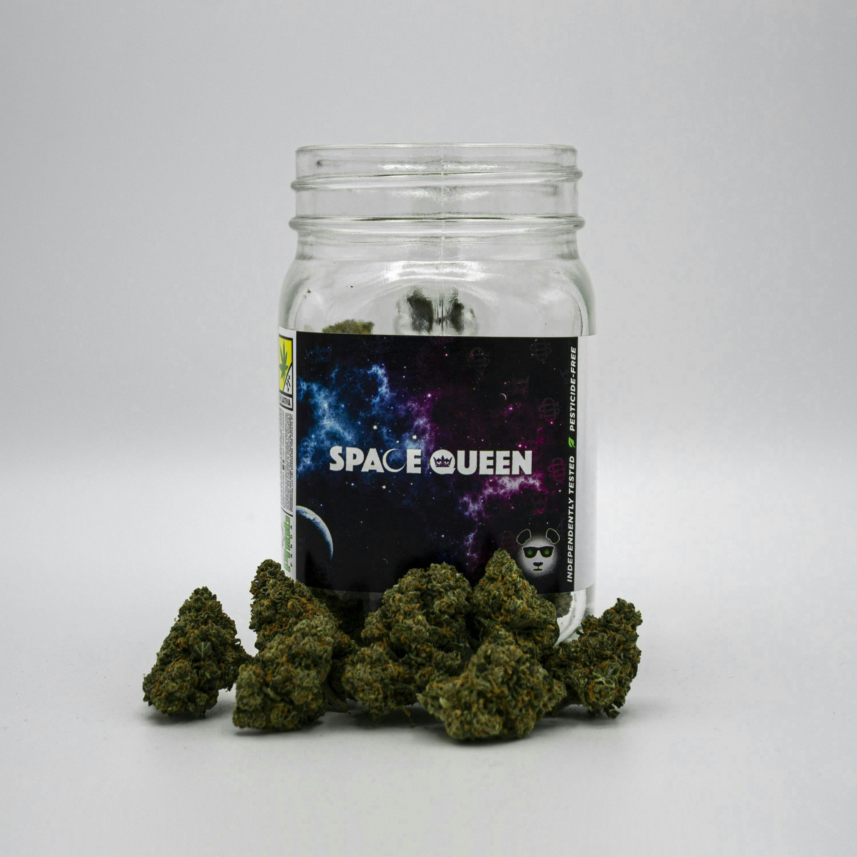 Phat Panda - Phat Panda | Space Queen | Big Buds - 1