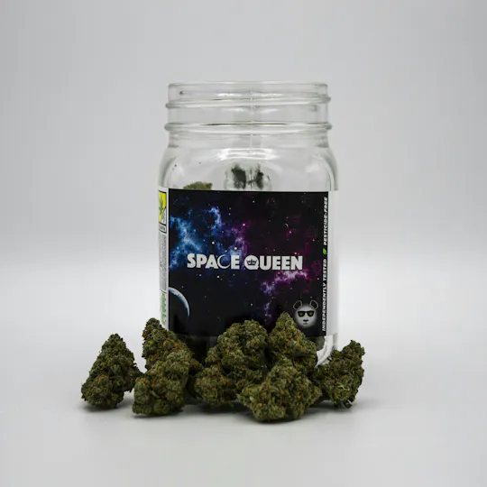 Phat Panda - Phat Panda | Space Queen | Big Buds - 1