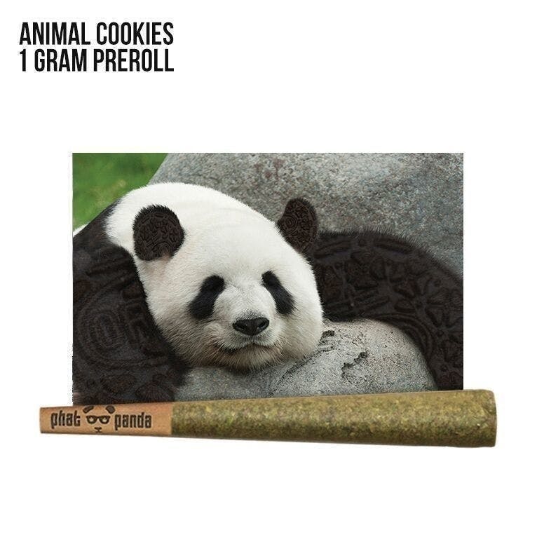 Phat Panda - Animal Cookies | Joint | 1g - 1