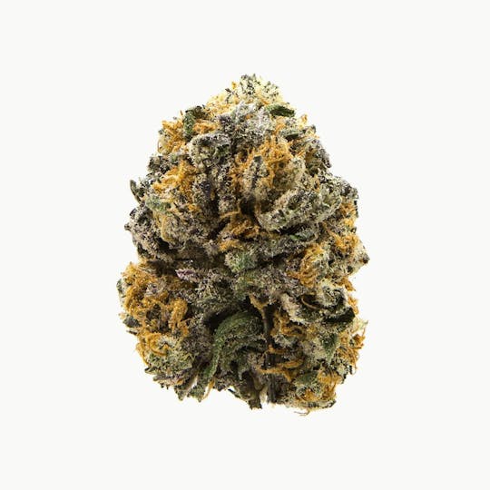 The Flower Shop - Chocolate Hashberry - 1