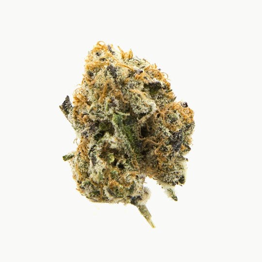 The Flower Shop - Thin Mint Girl Scout Cookies - 1