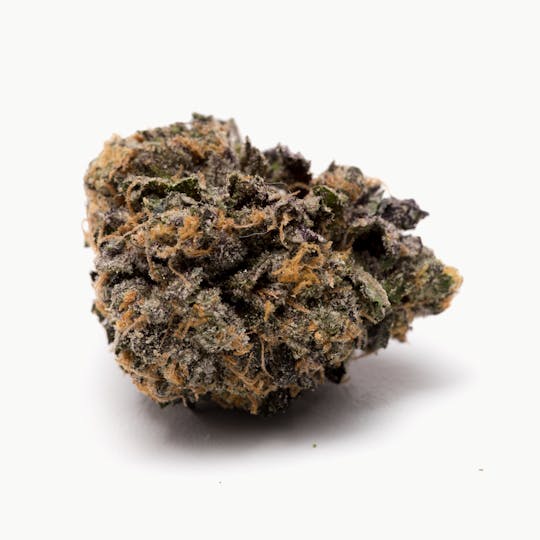 Space Monkey Meds - Samoa Cookies - 1