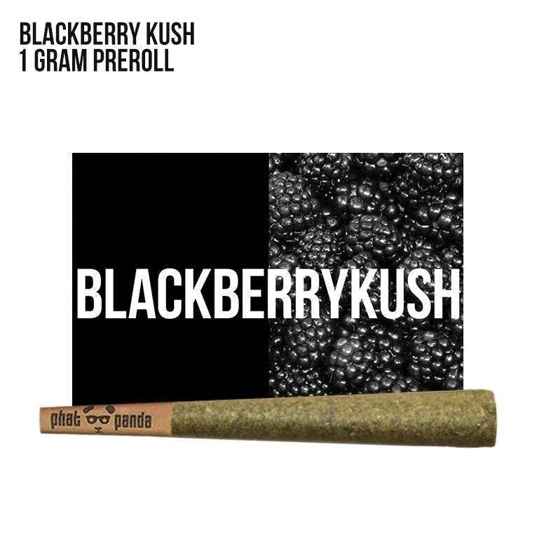 Phat Panda - Phat Panda | Blackberry Kush | Joint | 1g - 1