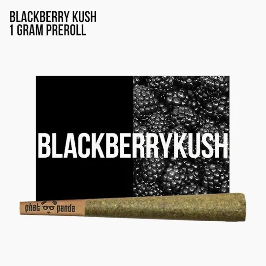 Phat Panda - Phat Panda | Blackberry Kush | Joint | 1g - 1