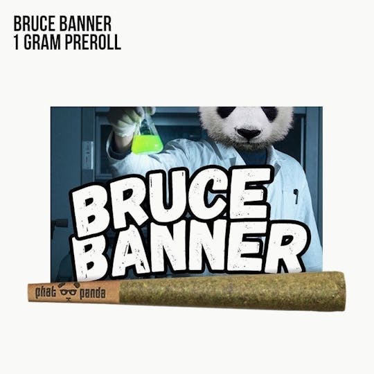 Phat Panda - Bruce Banner - Preroll - WA - 1