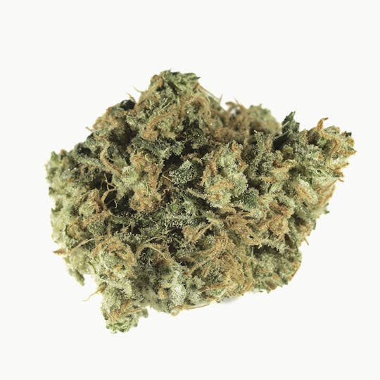 Bedford Grow - Chemzilla - 1