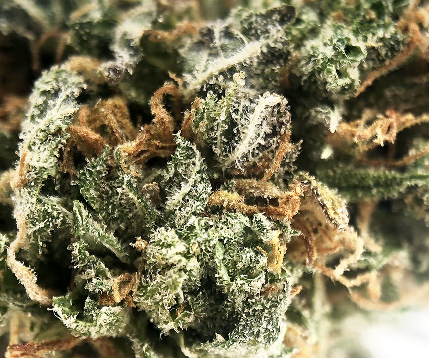 Sweetwater Farms - Peaches & Diesel - 1