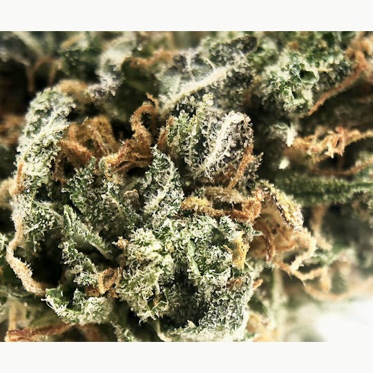 Sweetwater Farms - Peaches & Diesel - 1