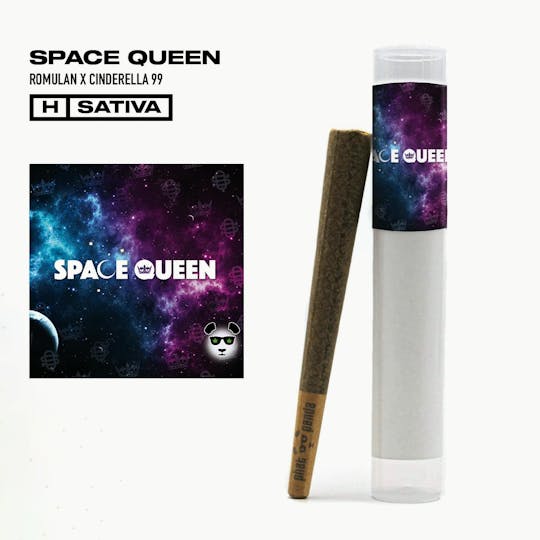 Phat Panda - Space Queen - Preroll - WA - 1