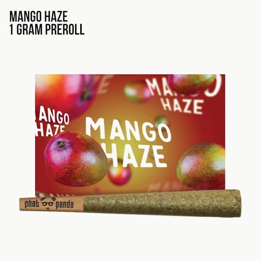 Phat Panda - Mango Haze - Preroll - WA - 1