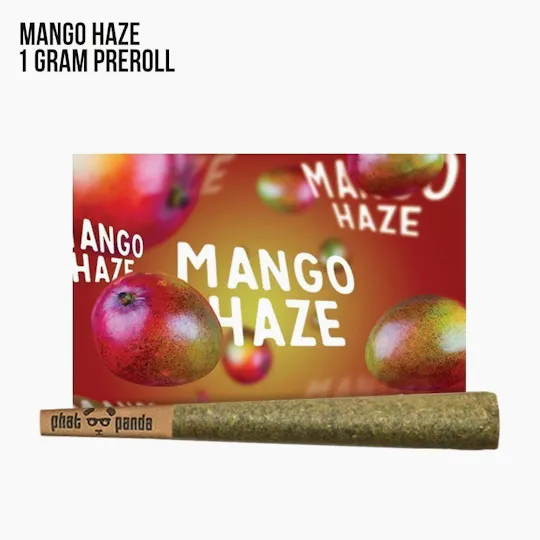 Phat Panda - Phat Panda | Mango Haze | Joint | 1g - 1