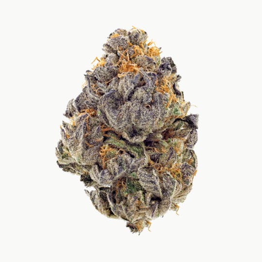 Fatty's - Blue Cookies - Fatty's Flower - 1