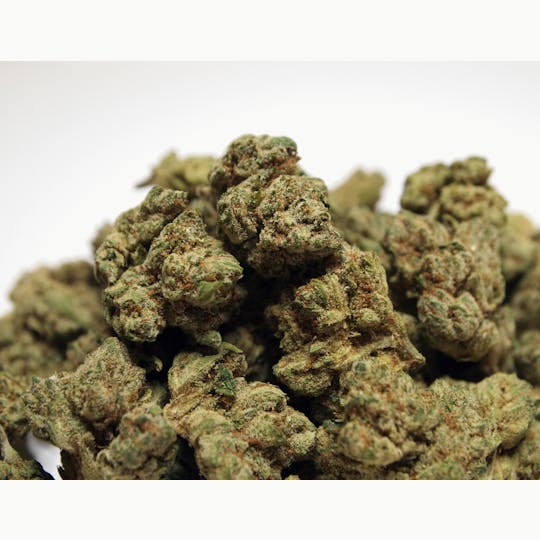 High Tide Organics - Mad Man OG - 1