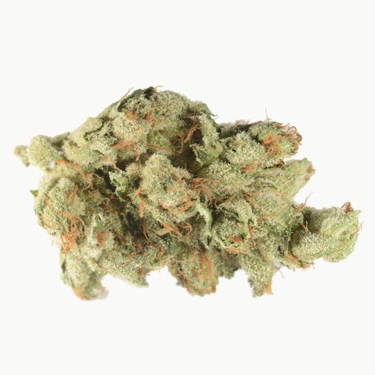 Bedford Grow - Bubba Chem - 1
