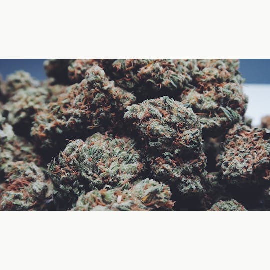 High Tide Organics - Pineapple Express - 1