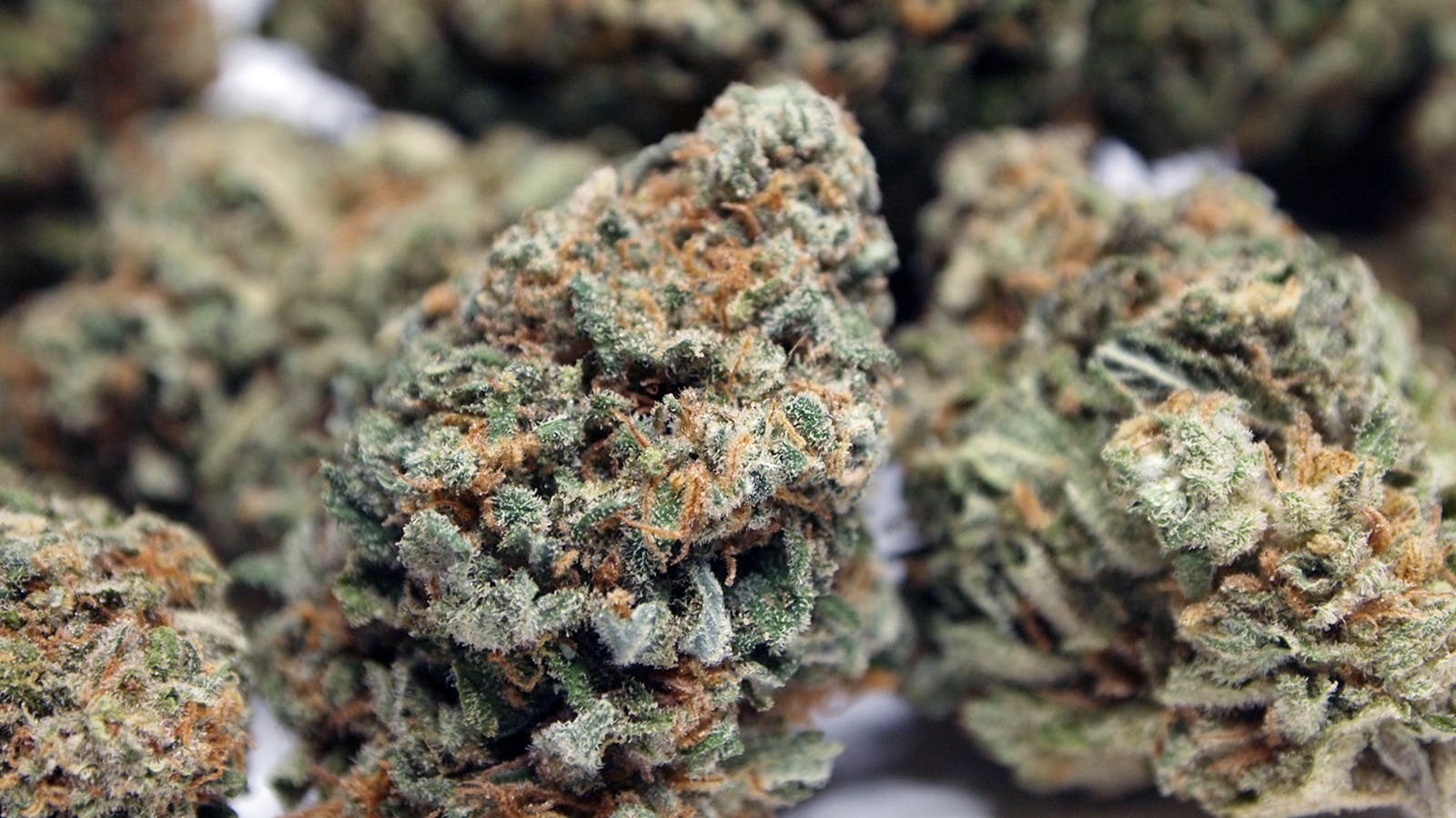 High Tide Organics - Maui Wowie - 1