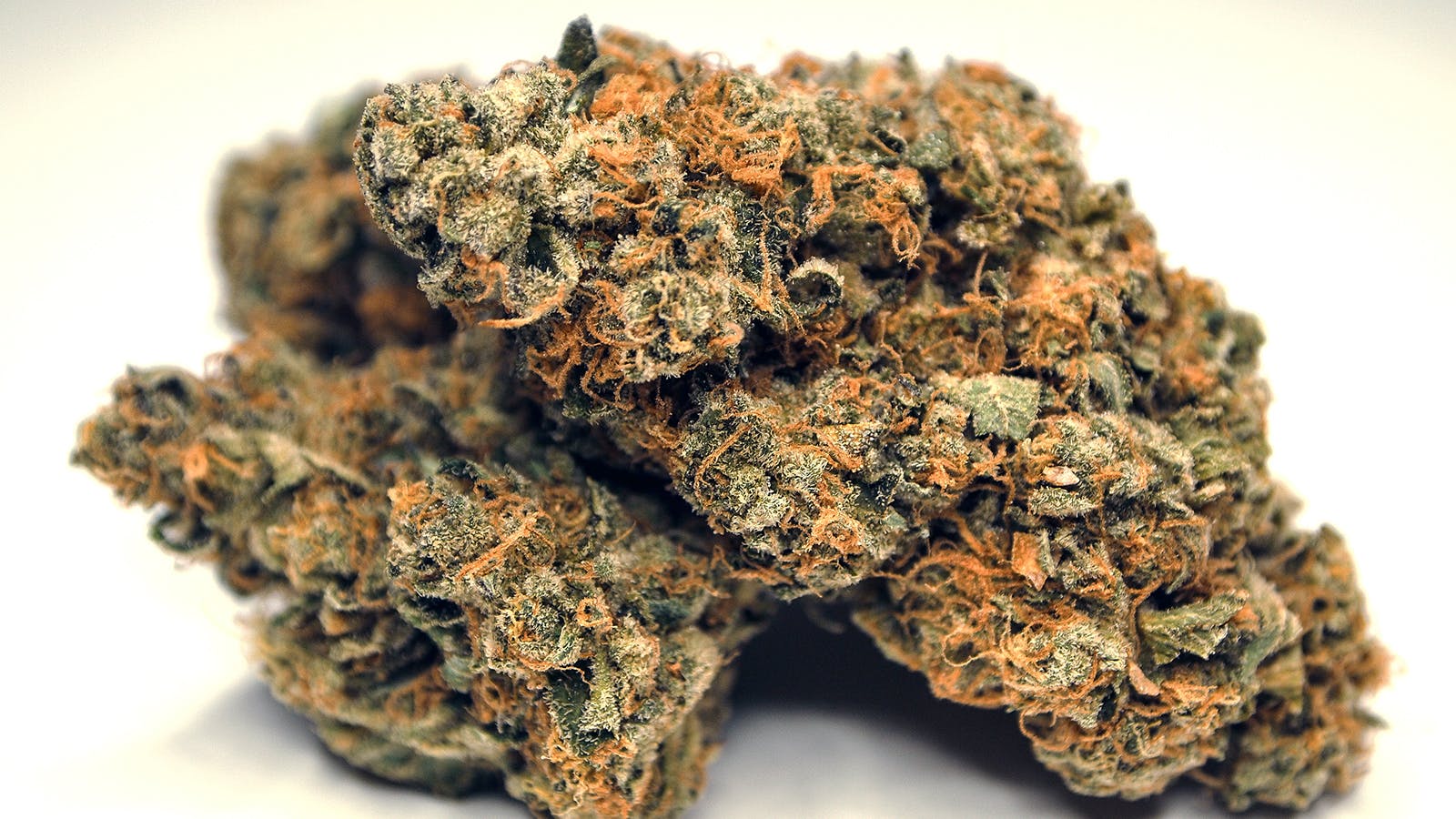 High Tide Organics - Emerald Cookies - 1