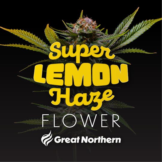 Great Northern Cannabis - Great Northern Cannabis Super Lemon Haze (Sativa) - 1