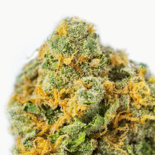 Great Northern Cannabis - Great Northern Cannabis Tundra Berry Flower (Indica) - 1