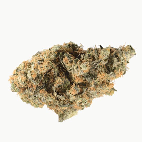 Bedford Grow - Bedford Blue Dream - 1