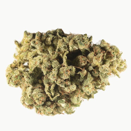 Bedford Grow - Bedford Haze - 1