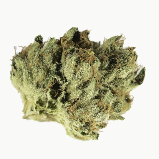 Bedford Grow - Bedford OG - 1