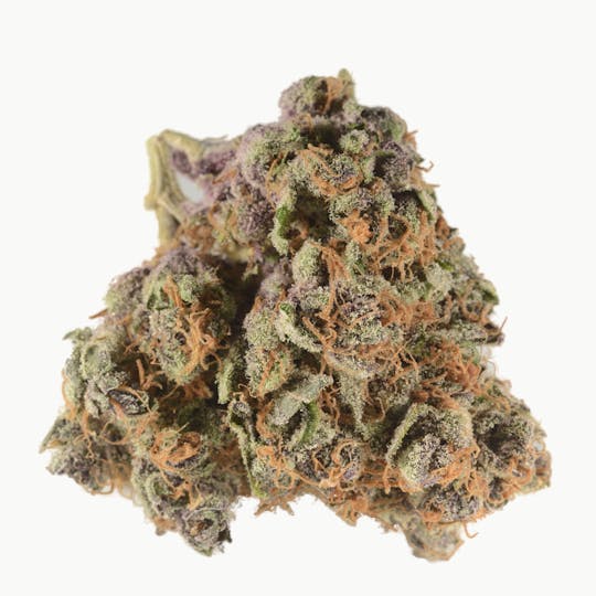 Bedford Grow - Black Cherry Chem - 1