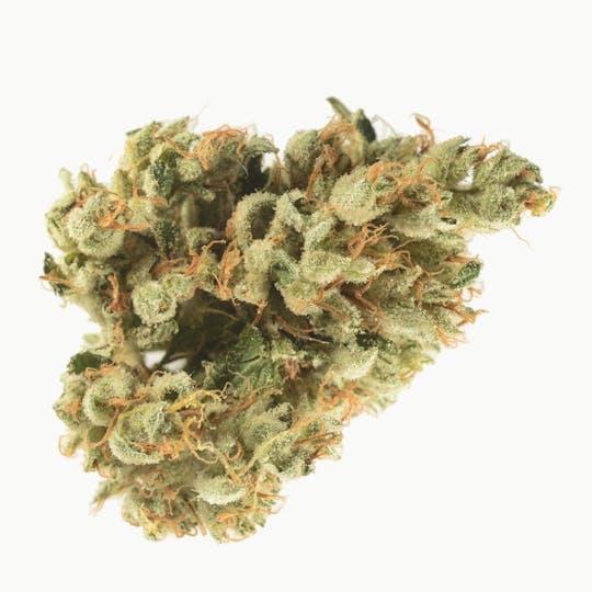 Bedford Grow - Chem Dawg - 1