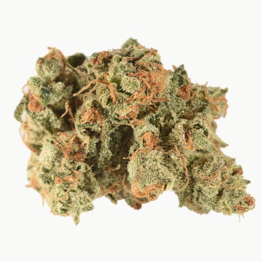 Bedford Grow - Chemnesia - 1