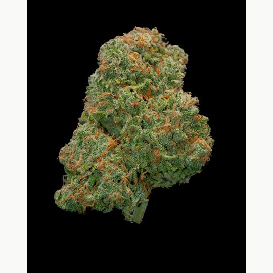 Oregon Roots - Blue Dream - 1