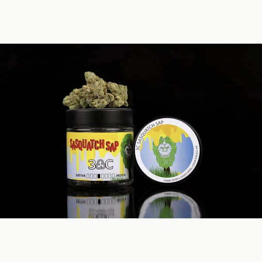 3C - 3C | Sasquatch Sap - 8th - 1