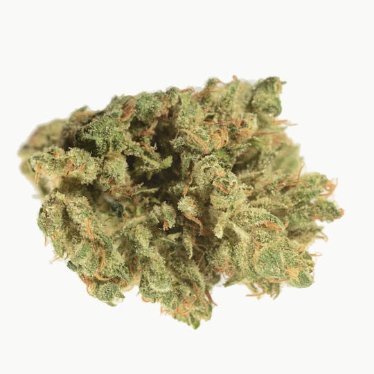 Bedford Grow - Cherry Charlotte - 1