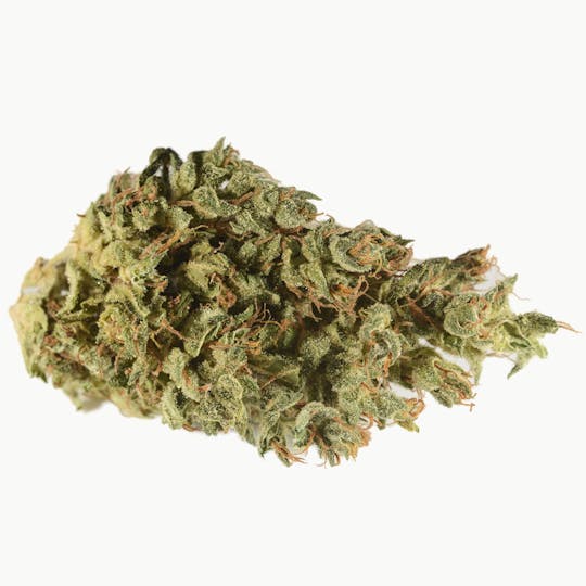 Bedford Grow - Cherry Wu - 1