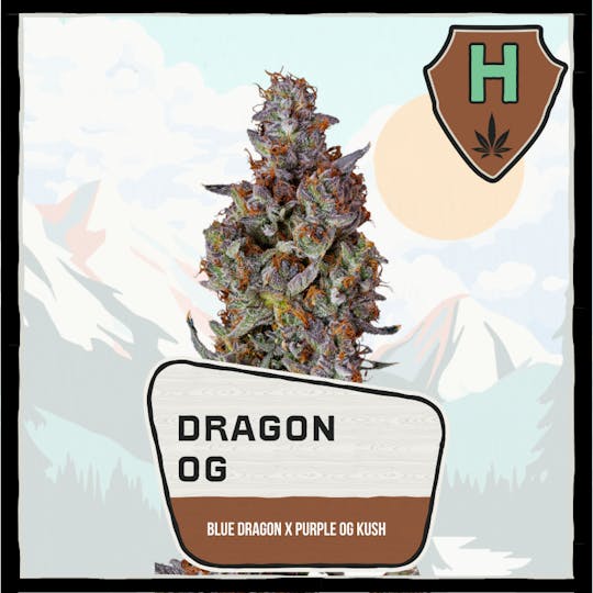 Avitas - Dragon OG Buds - 1
