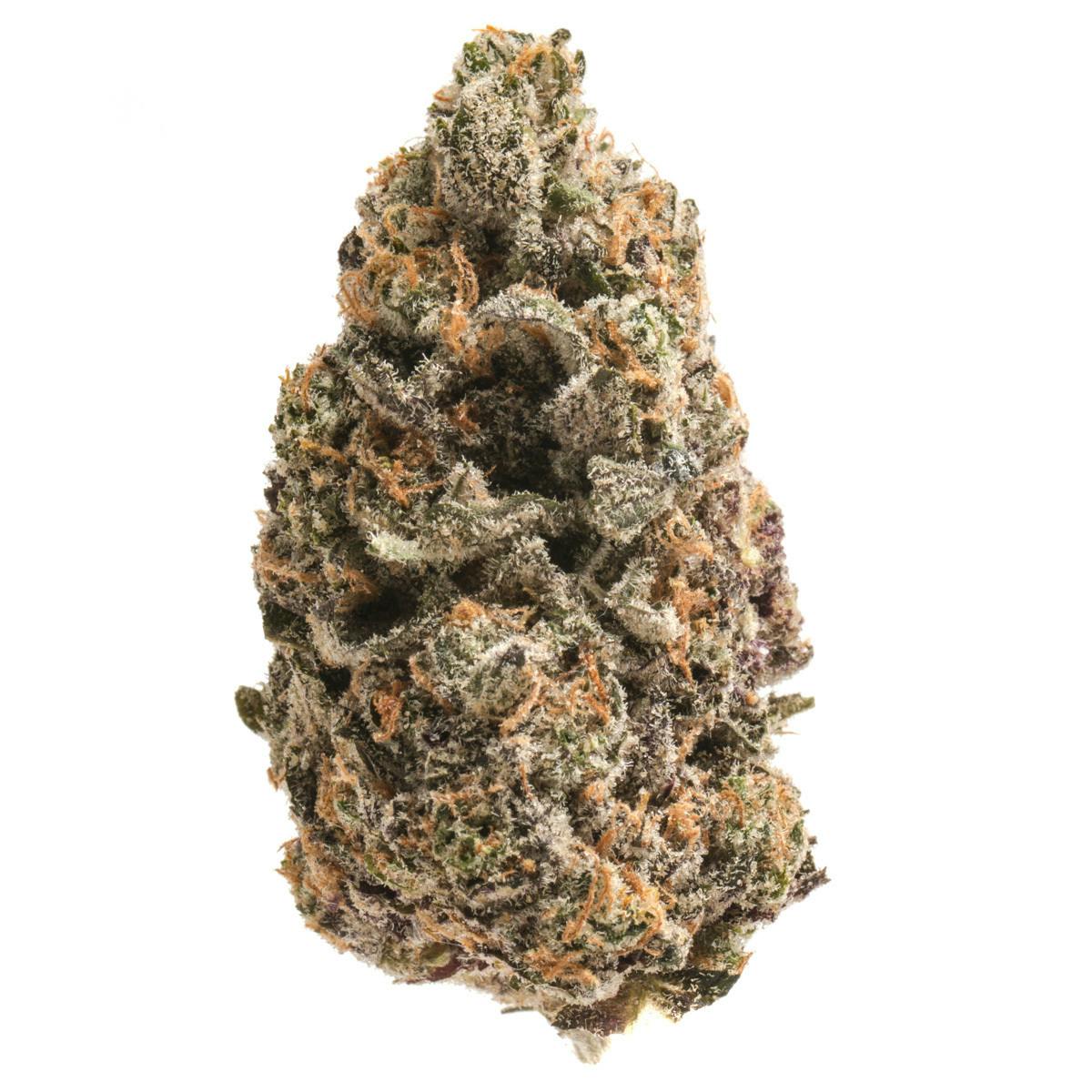 Trichome Farms - Amnesia Haze - 1