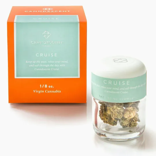 Canndescent - Canndescent | CRUISE | Big Buds | 3.5g - 1