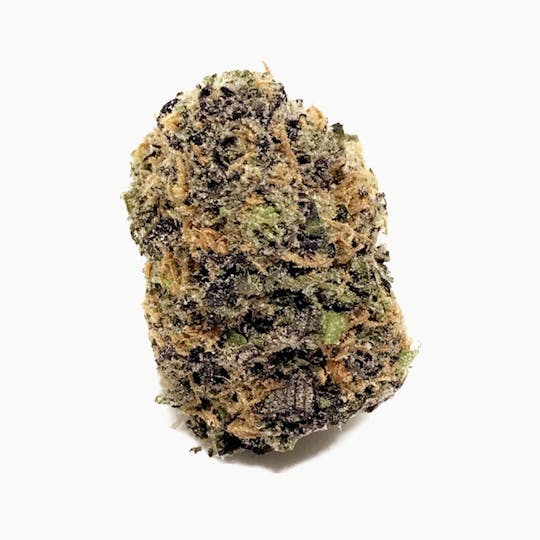 Space Monkey Meds - Purple Monkey - 1