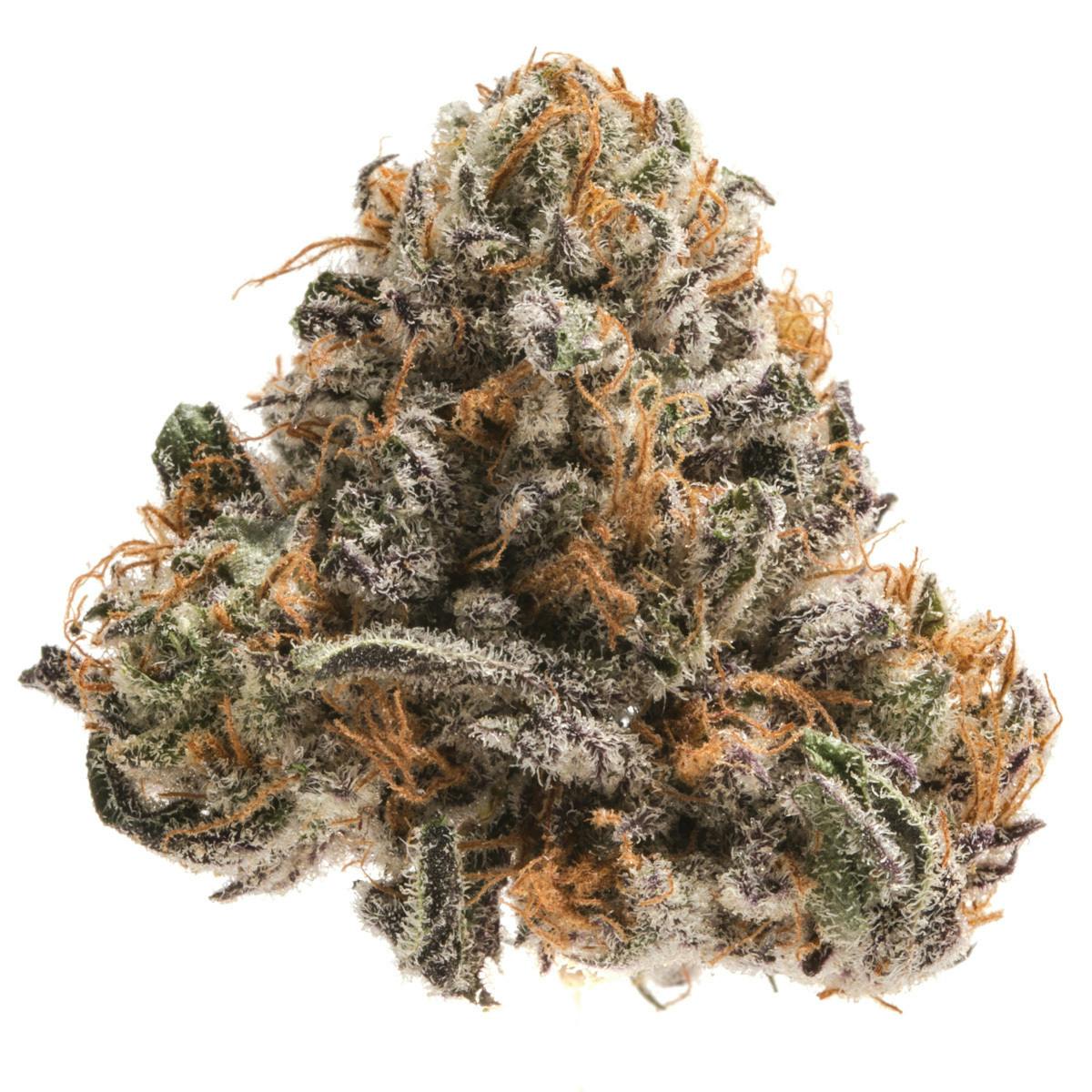 Trichome Farms - Obama Kush - 1