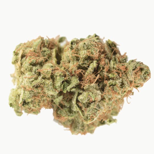 Bedford Grow - Lemon Durban - 1