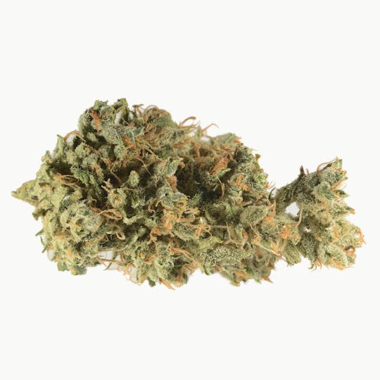 Bedford Grow - Uncle Monkey Haze - 1