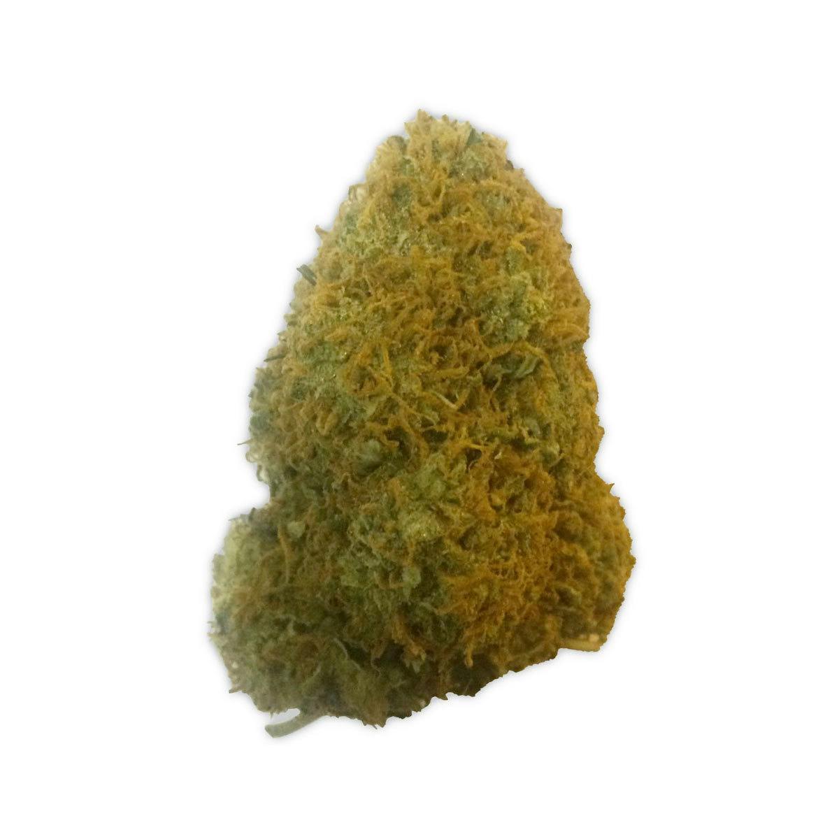Heavyweight Seeds - CHAMPION - 1