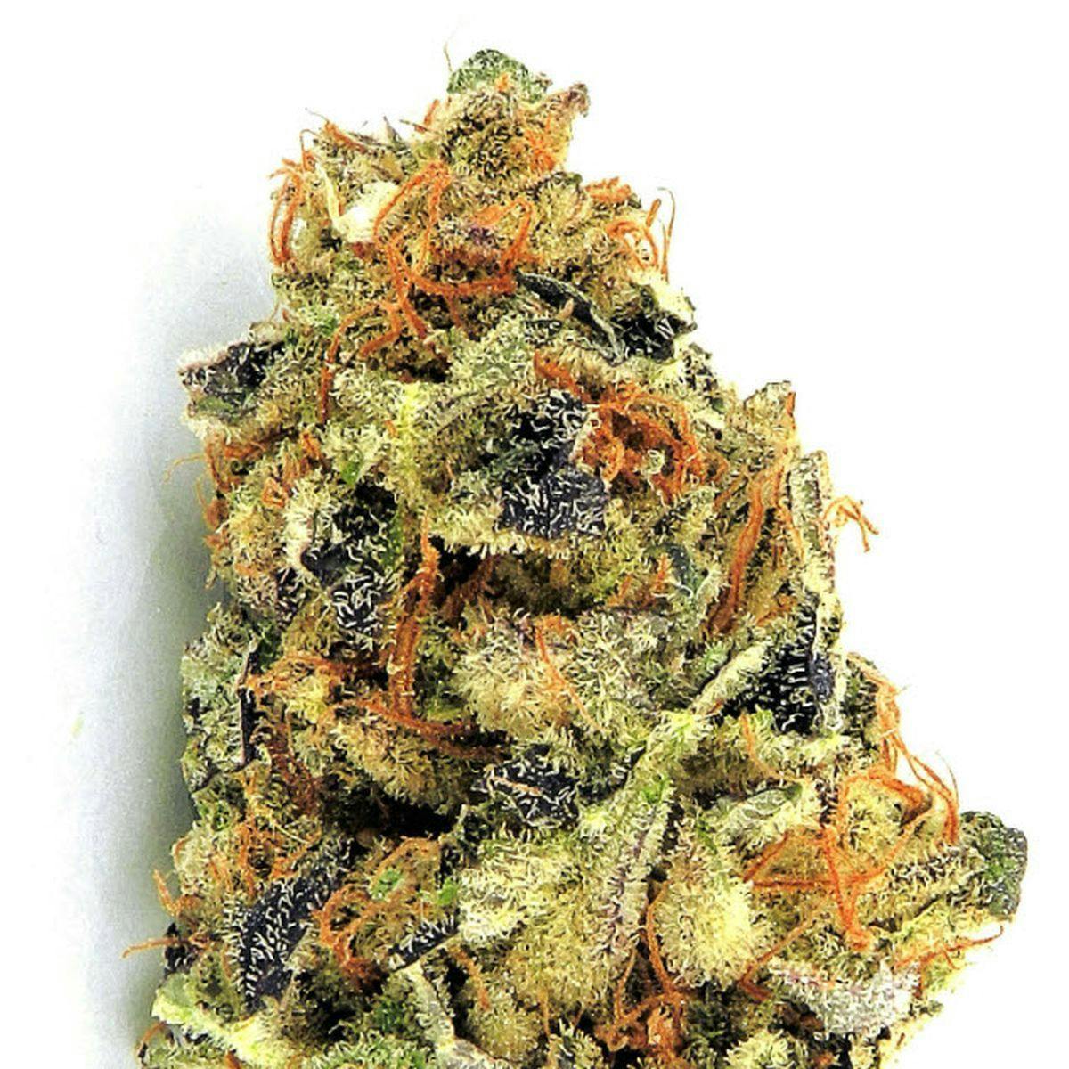Heavyweight Seeds - K.O. KUSH - 1