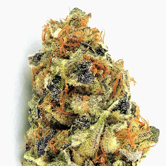 Heavyweight Seeds - K.O. KUSH - 1