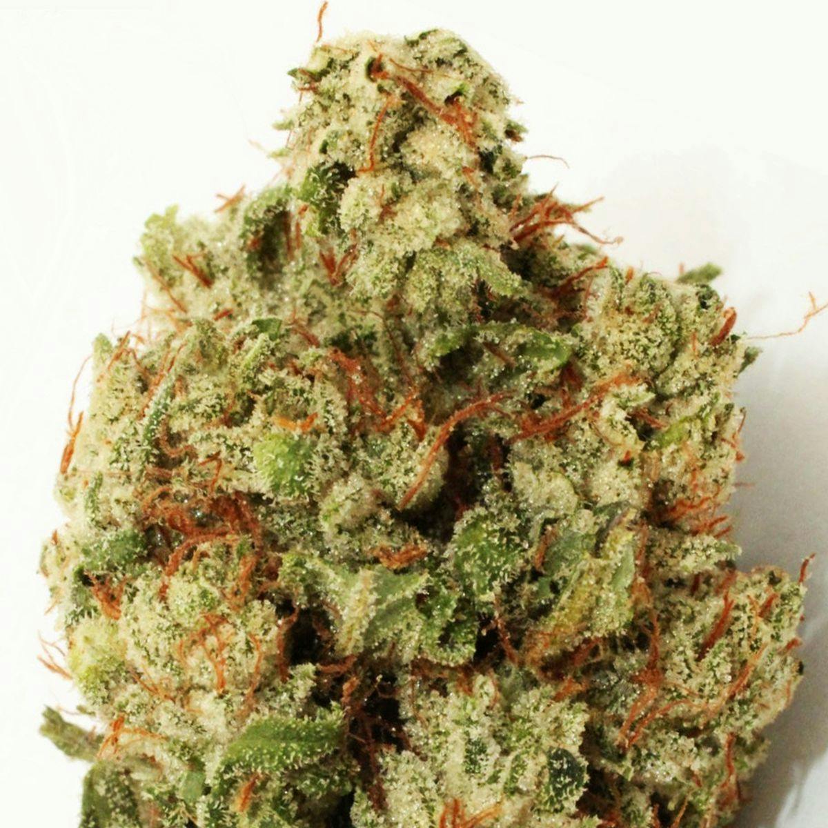 Heavyweight Seeds - GREEN NINJA - 1