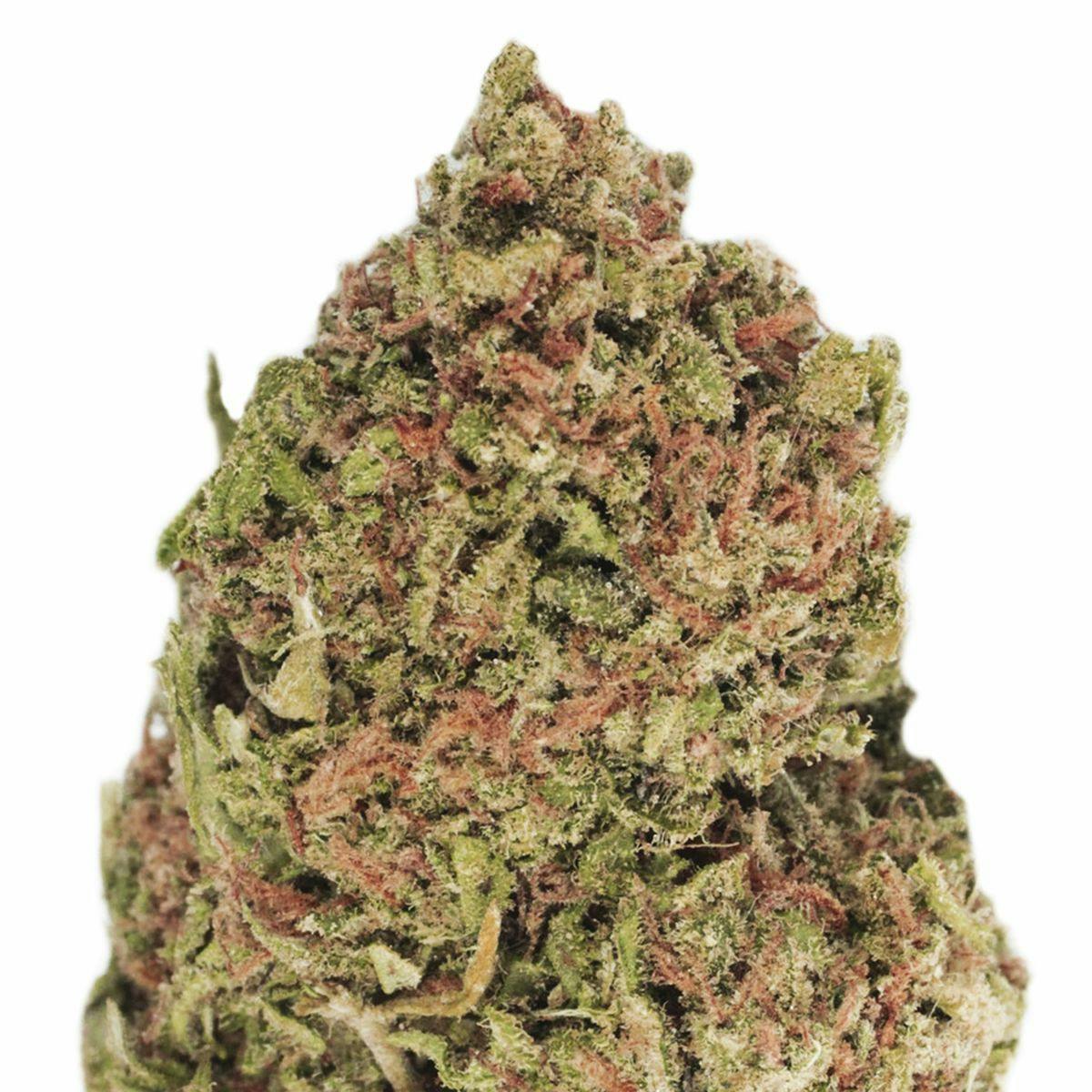Heavyweight Seeds - DREAM MACHINE - 1